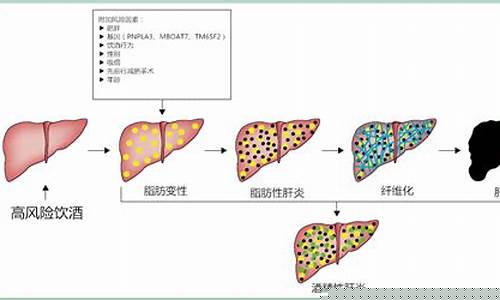 酒精相关期货(酒精期货与什么相关联)_https://www.gfdzclz.com_深交所_第1张