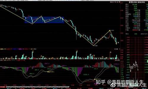 菜粕期货走势分析(菜粕期货走势分析最新)_https://www.gfdzclz.com_科创板_第1张