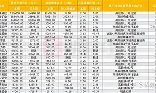 588000持仓明细(588000持仓情况)_https://www.gfdzclz.com_北交所_第1张
