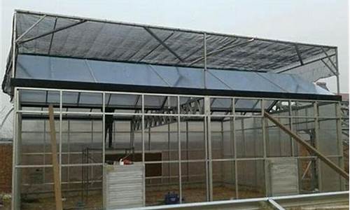 大棚安装人工费多少钱一平方啊(安装大棚的工价)_https://www.gfdzclz.com_创业板_第1张