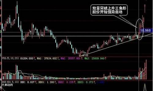 期货三角形震荡行情操作法(期货震荡行情怎么做)_https://www.gfdzclz.com_科创板_第1张