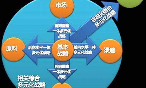 多元化战略(多元化战略的风险)_https://www.gfdzclz.com_深交所_第1张