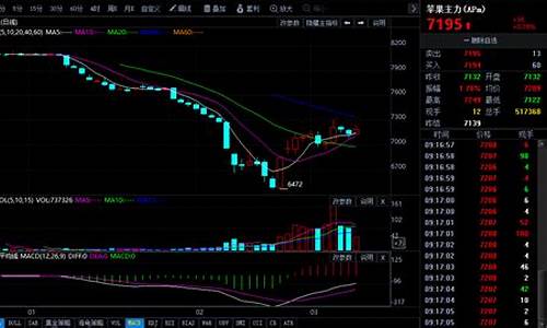 今天期货行情走势pTA(今天期货pta的行情)_https://www.gfdzclz.com_北交所_第1张
