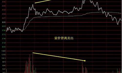 总手是买进的还是卖出的(总手和持仓是什么意思)_https://www.gfdzclz.com_北交所_第1张