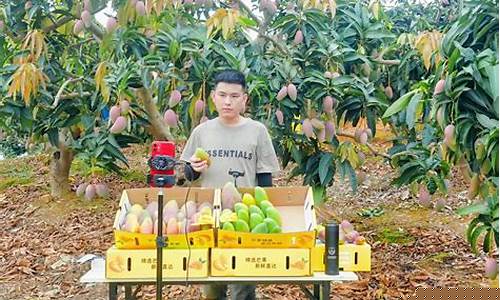 芒果直播炒期货怎么样(芒果交易所)_https://www.gfdzclz.com_创业板_第1张