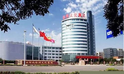 沧州大化股吧(沧州大化股吧价格走势)_https://www.gfdzclz.com_科创板_第1张