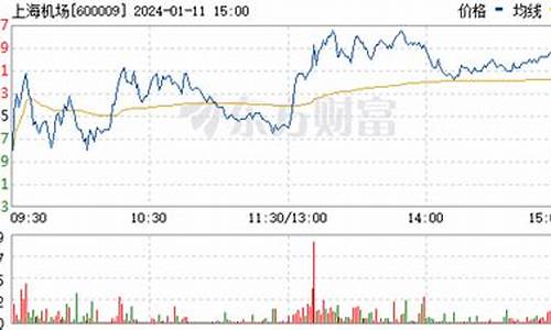 上海机场股票会大涨(上海机场股票会涨吗)_https://www.gfdzclz.com_北交所_第1张
