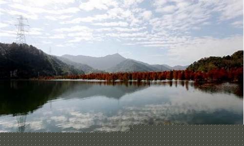 红杉原油直播(红杉原油直播在哪看)_https://www.gfdzclz.com_上交所_第1张