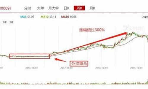 什么叫蓝筹股(什么叫白马股什么叫蓝筹股)_https://www.gfdzclz.com_科创板_第1张