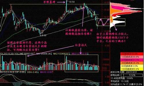 炒股的基本步骤包括(炒股的基本操作流程)_https://www.gfdzclz.com_北交所_第1张