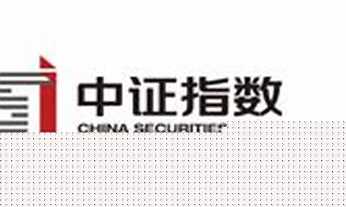 中证指数有限公司官网首页(中证指数公司网站官网)_https://www.gfdzclz.com_上交所_第1张