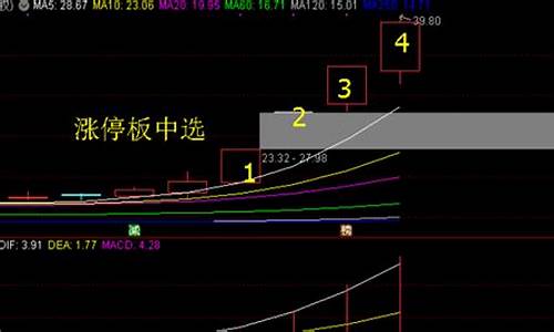 怎样选股票第二天会涨(怎样选股第二天大涨的技巧)_https://www.gfdzclz.com_上交所_第1张