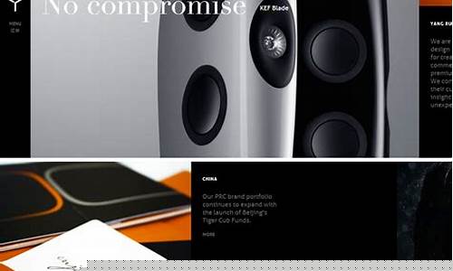 亮点网站(亮点 点)_https://www.gfdzclz.com_上交所_第1张