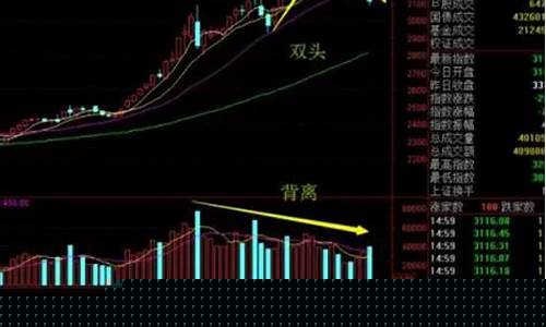 好的股票有什么特征(好股票的标准是什么)_北交所_第1张_财经网 好的股票有什么特征(好股票的标准是什么)_https://www.gfdzclz.com_北交所_第1张