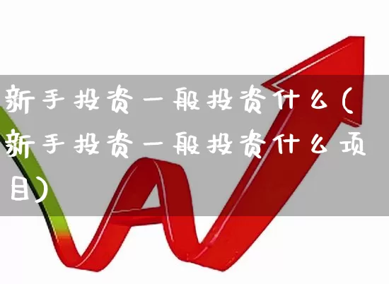 新手投资一般投资什么(新手投资一般投资什么项目)_https://www.gfdzclz.com_北交所_第1张