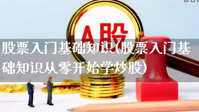 股票入门基础知识(股票入门基础知识从零开始学炒股)_https://www.gfdzclz.com_创业板_第1张