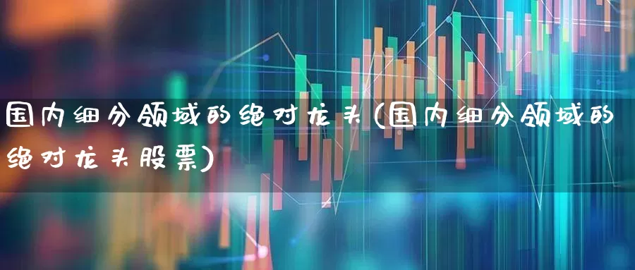 国内细分领域的绝对龙头(国内细分领域的绝对龙头股票)_https://www.gfdzclz.com_创业板_第1张
