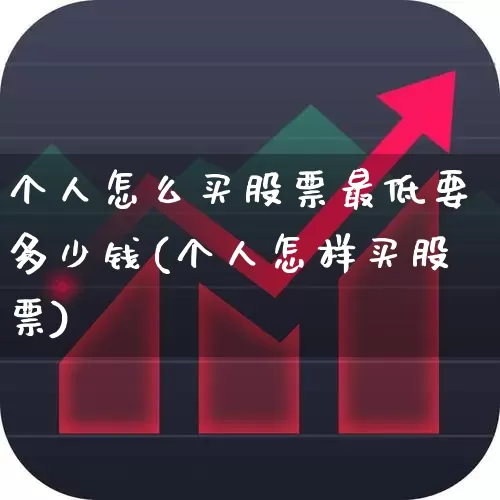 个人怎么买股票最低要多少钱(个人怎样买股票)_https://www.gfdzclz.com_深交所_第1张