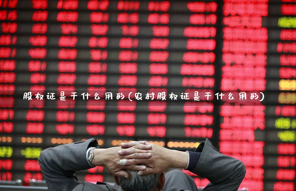 股权证是干什么用的(农村股权证是干什么用的)_https://www.gfdzclz.com_北交所_第1张
