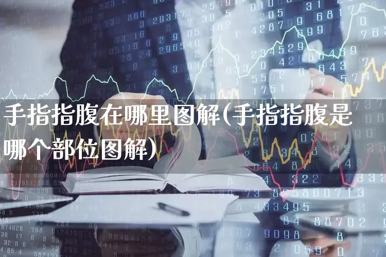 手指指腹在哪里图解(手指指腹是哪个部位图解)_https://www.gfdzclz.com_科创板_第1张