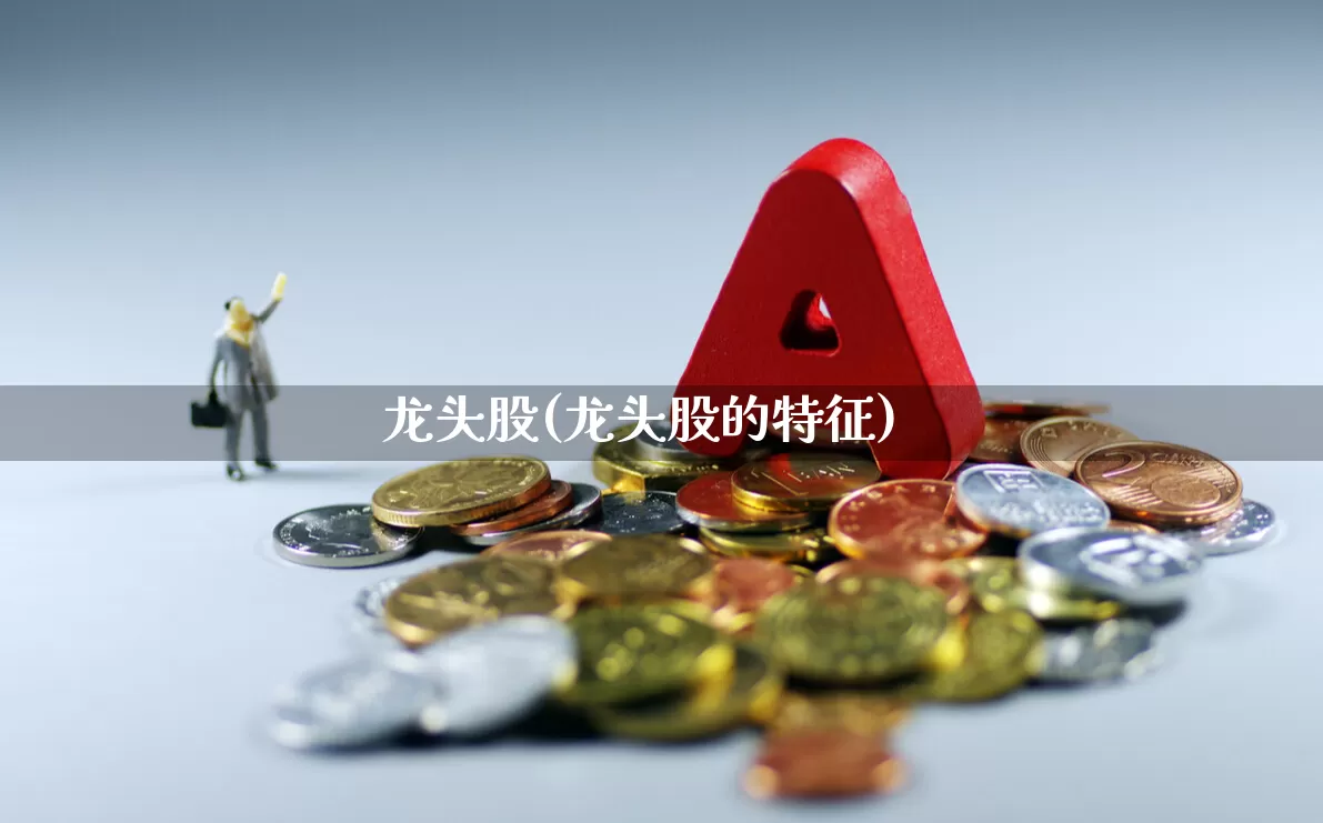 龙头股(龙头股的特征)_https://www.gfdzclz.com_深交所_第1张