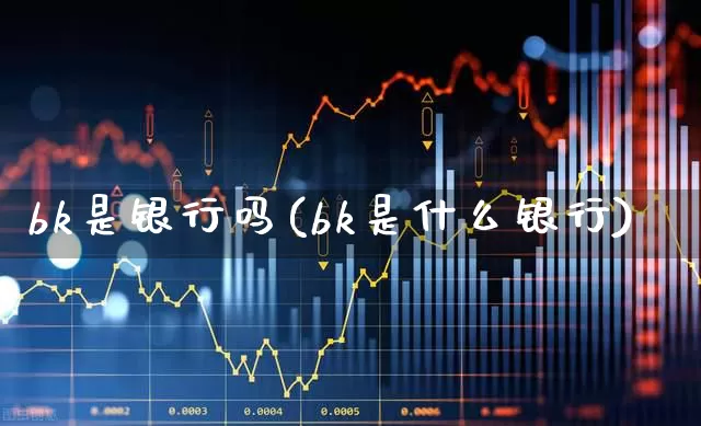 bk是银行吗(bk是什么银行)_https://www.gfdzclz.com_上交所_第1张