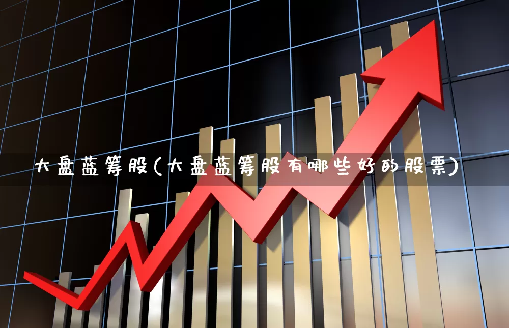 大盘蓝筹股(大盘蓝筹股有哪些好的股票)_https://www.gfdzclz.com_深交所_第1张