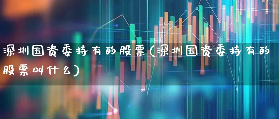 深圳国资委持有的股票(深圳国资委持有的股票叫什么)_https://www.gfdzclz.com_科创板_第1张