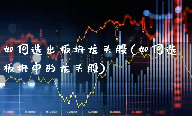 如何选出板块龙头股(如何选板块中的龙头股)_https://www.gfdzclz.com_创业板_第1张