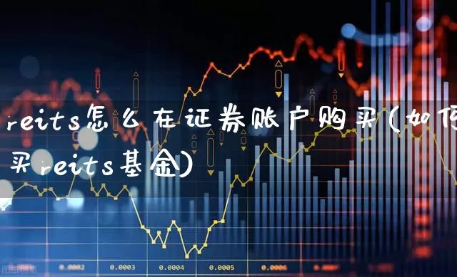 reits怎么在证券账户购买(如何买reits基金)_https://www.gfdzclz.com_上交所_第1张