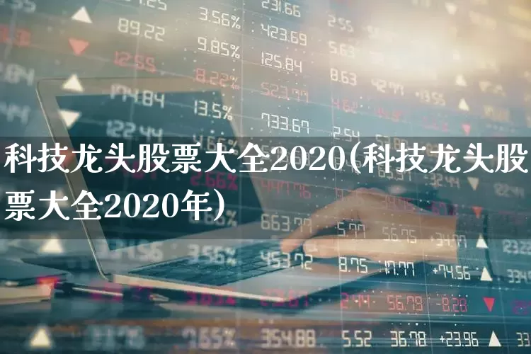 科技龙头股票大全2020(科技龙头股票大全2020年)_https://www.gfdzclz.com_上交所_第1张