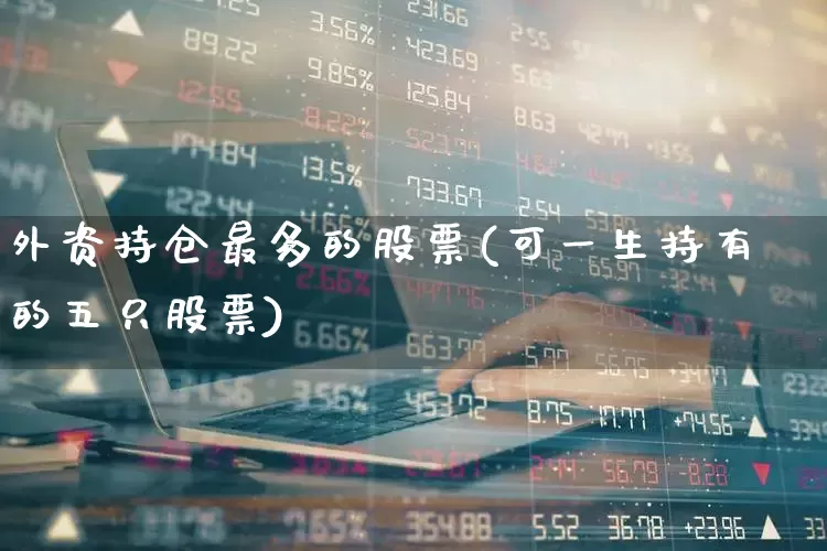 外资持仓最多的股票(可一生持有的五只股票)_https://www.gfdzclz.com_上交所_第1张