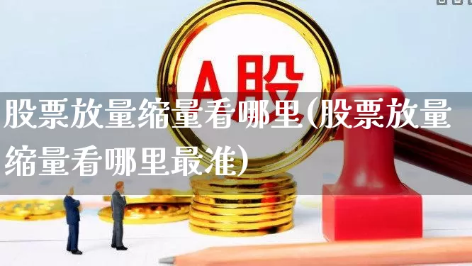 股票放量缩量看哪里(股票放量缩量看哪里最准)_https://www.gfdzclz.com_创业板_第1张