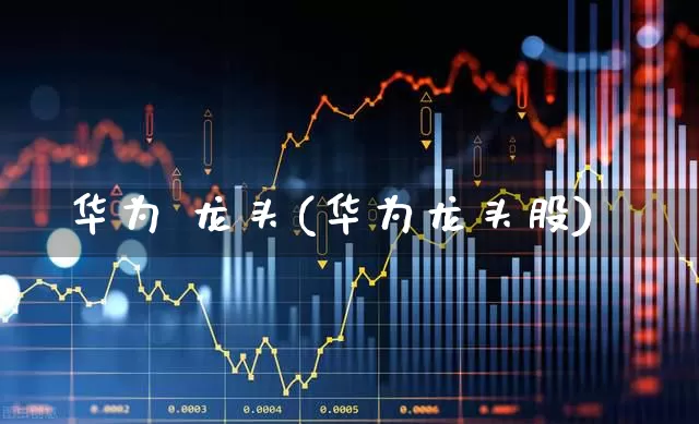 华为 龙头(华为龙头股)_https://www.gfdzclz.com_上交所_第1张