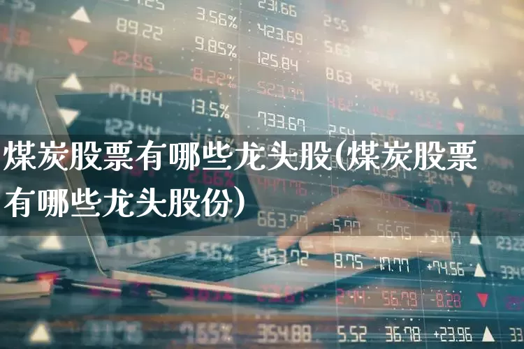煤炭股票有哪些龙头股(煤炭股票有哪些龙头股份)_https://www.gfdzclz.com_深交所_第1张