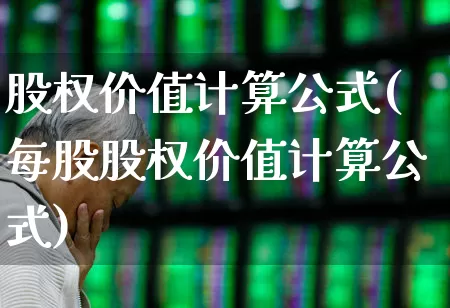 股权价值计算公式(每股股权价值计算公式)_https://www.gfdzclz.com_上交所_第1张