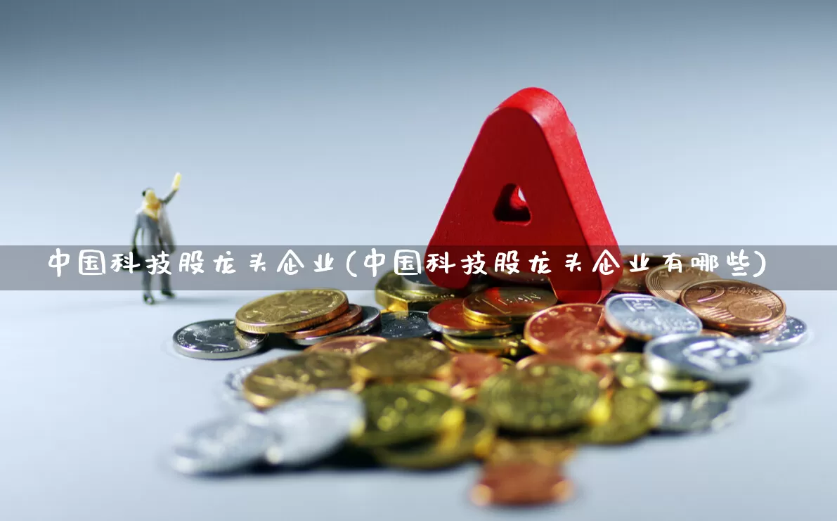 中国科技股龙头企业(中国科技股龙头企业有哪些)_https://www.gfdzclz.com_科创板_第1张