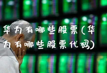 华为有哪些股票(华为有哪些股票代码)_https://www.gfdzclz.com_科创板_第1张