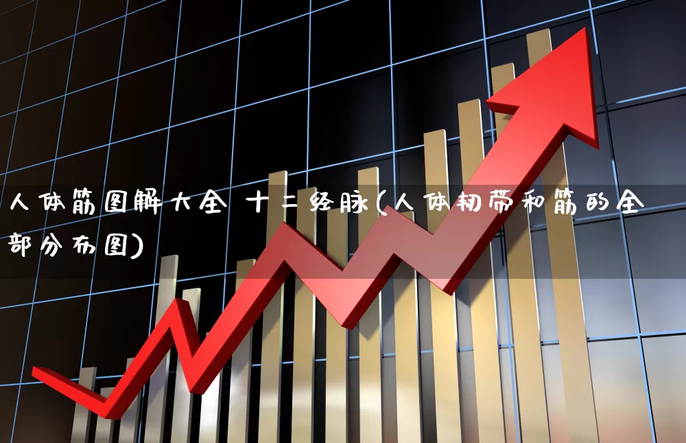 人体筋图解大全 十二经脉(人体韧带和筋的全部分布图)_https://www.gfdzclz.com_上交所_第1张
