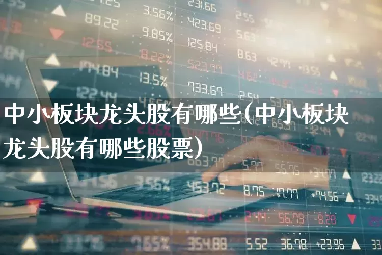 中小板块龙头股有哪些(中小板块龙头股有哪些股票)_https://www.gfdzclz.com_科创板_第1张