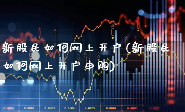 新股民如何网上开户(新股民如何网上开户申购)_https://www.gfdzclz.com_创业板_第1张