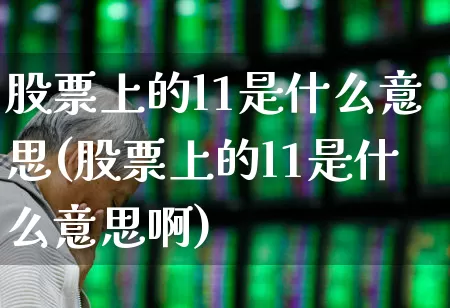 股票上的l1是什么意思(股票上的l1是什么意思啊)_https://www.gfdzclz.com_创业板_第1张