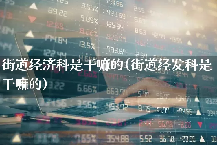 街道经济科是干嘛的(街道经发科是干嘛的)_https://www.gfdzclz.com_上交所_第1张