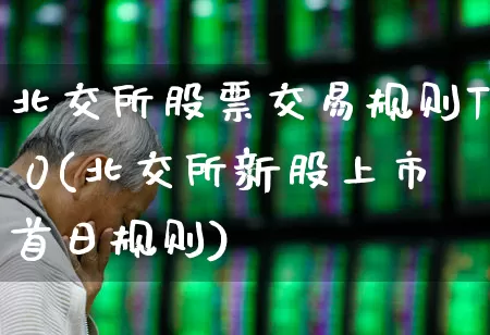 北交所股票交易规则T 0(北交所新股上市首日规则)_https://www.gfdzclz.com_创业板_第1张