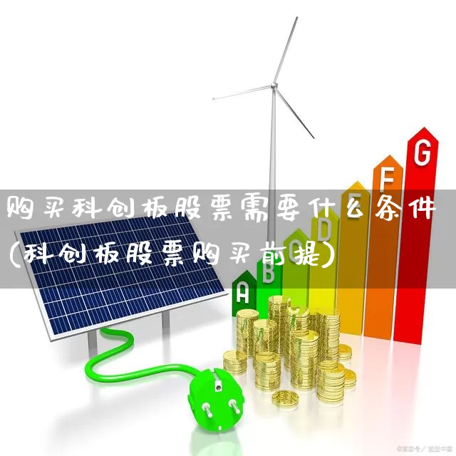 购买科创板股票需要什么条件(科创板股票购买前提)_https://www.gfdzclz.com_深交所_第1张