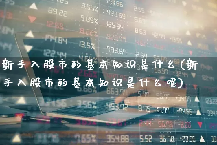 新手入股市的基本知识是什么(新手入股市的基本知识是什么呢)_https://www.gfdzclz.com_上交所_第1张