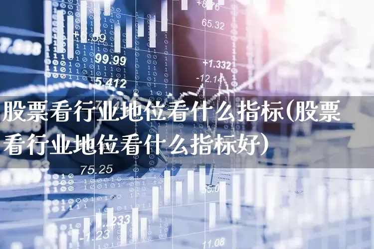 股票看行业地位看什么指标(股票看行业地位看什么指标好)_https://www.gfdzclz.com_深交所_第1张