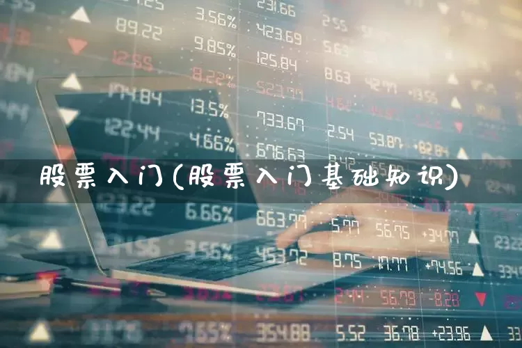 股票入门(股票入门基础知识)_https://www.gfdzclz.com_上交所_第1张
