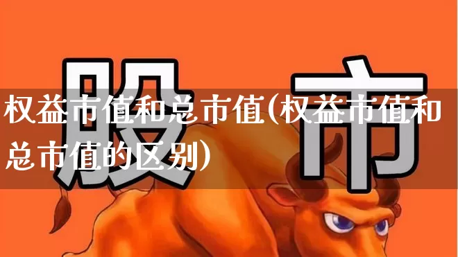 权益市值和总市值(权益市值和总市值的区别)_https://www.gfdzclz.com_深交所_第1张