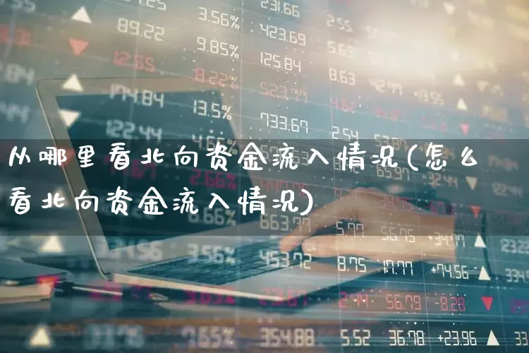 从哪里看北向资金流入情况(怎么看北向资金流入情况)_https://www.gfdzclz.com_深交所_第1张
